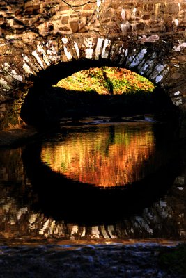 Reflecting An Early Morning