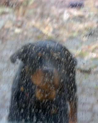 April Showers / Please Let Me In