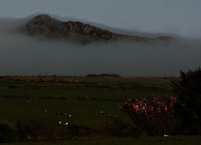 out of the mist.