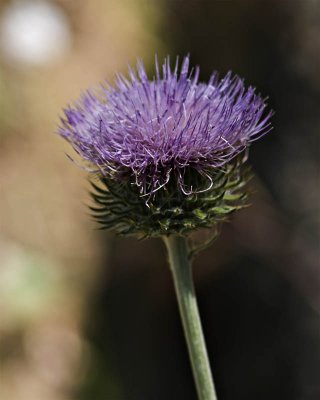 g3/95/41195/3/113293018.X5d1yjO8.jpg