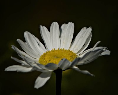 g3/95/41195/3/113312234.CxzpG2ZM.jpg