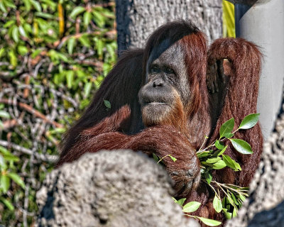 _DSC1788.jpg