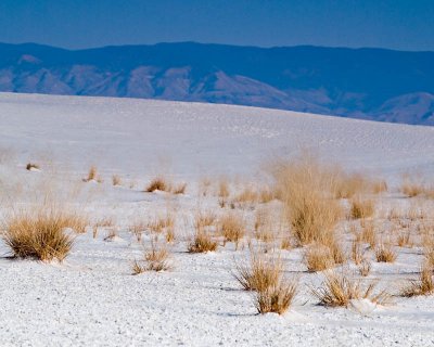 WHITE SANDS NEW MEXICO