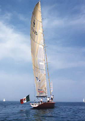 Moro di Venezia 3