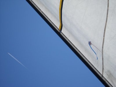 Chi viene e chi vaDavide Palmisano