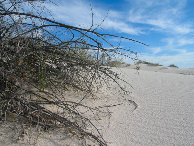 White_Sands-1013.jpg