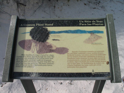 White_Sands-1015.jpg