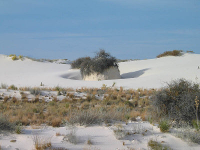 White_Sands-1019.jpg