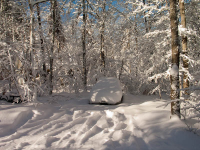 CRW_3502.jpg