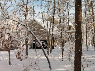 CRW_3505.jpg