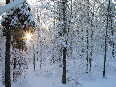 Snowpocalypse 2010