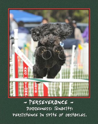 Brown Perseverance poster