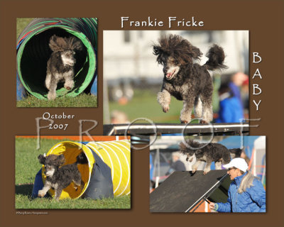 Fricke Frankie 16x20