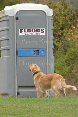 Now that's what I call REAL Potty Training!