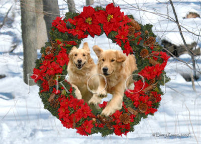 Cole Special Wreath composite