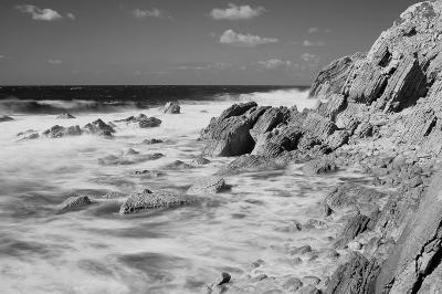 DSC_6595-26-02-06.jpg
