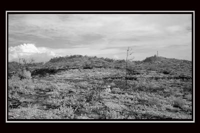 After-The-fire-II.jpg