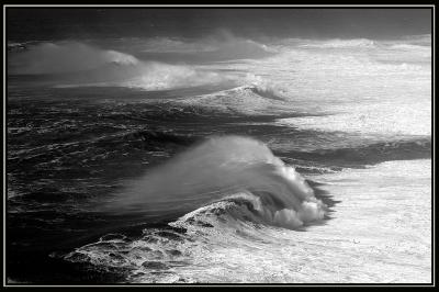 DSC_4549-2-10-05-Fury.jpg