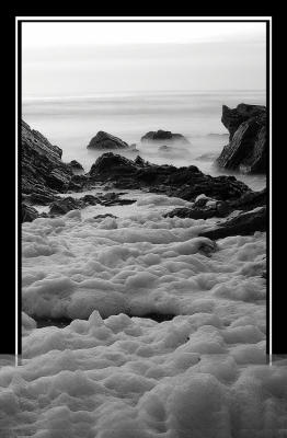 DSC_1813-Transbording.jpg