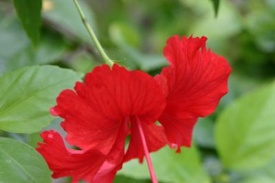 IMG_5587_edited-1.jpg