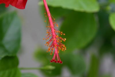 IMG_5588_edited-1.jpg