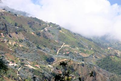 View from El Avila