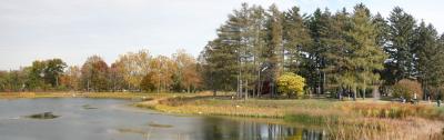 Morton Arboretum (Autumn 2005)