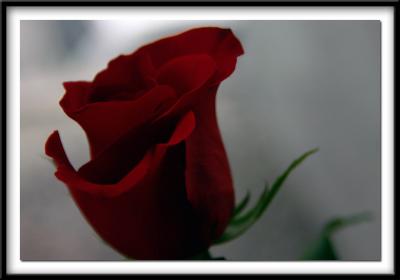 March 05, 2006
