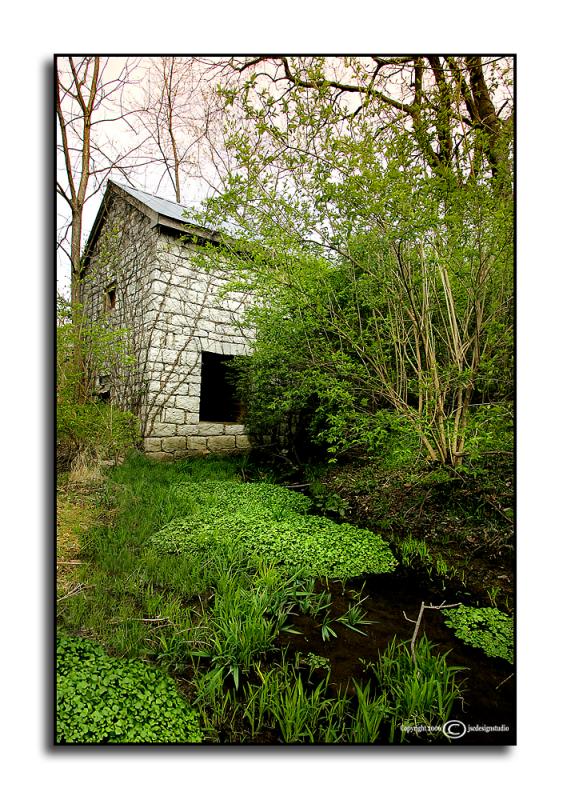 Challenge: <i>Celebrating Spring(house)</i> <p>March 23