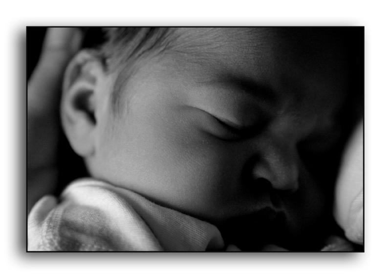 Nestled