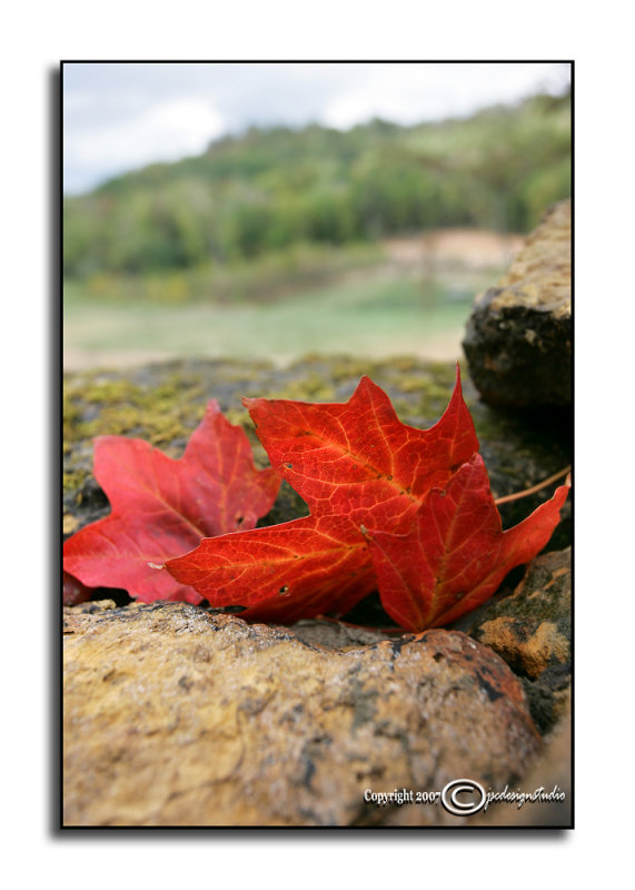 Fall on a Wall<p>October 26