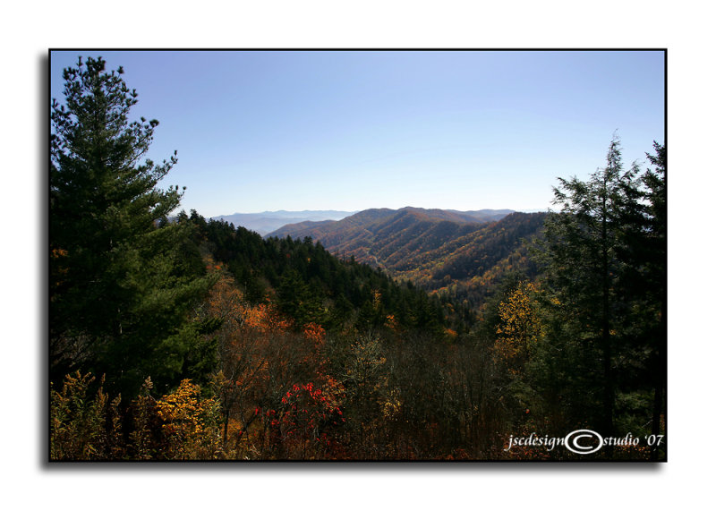 View from Newfound Gap