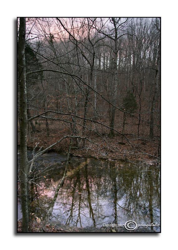 Morning Reflections<p>December 18