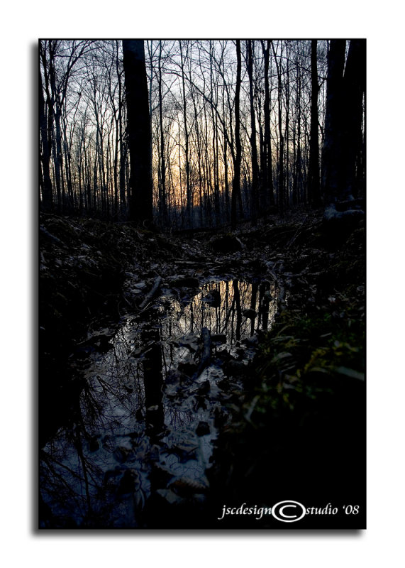 CHALLENGE:<i>Precious Metals</i><br>Winter Gold<br>March 27