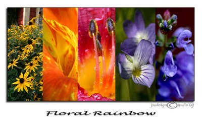 Rainbow Floral Montage