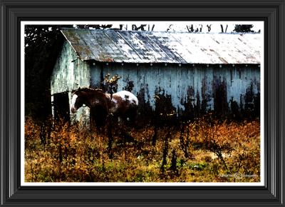 Clark Farm (Watercolor)