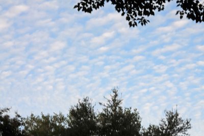 Cloud Action_1.jpg