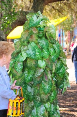 Renaissance Festival 2010058.JPG