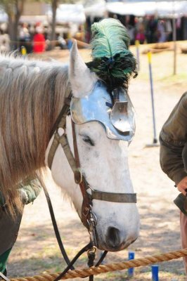 Renaissance Festival 2010061.JPG