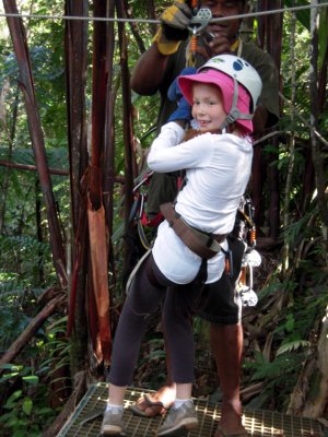 Tree zipping in the jungle, Viti Levu