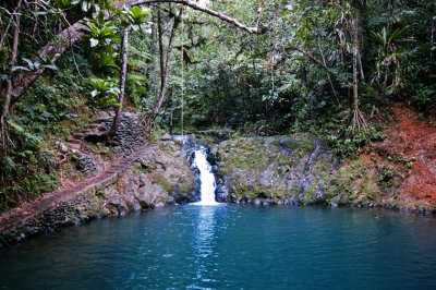 Rain forest stream, Viti Levu
