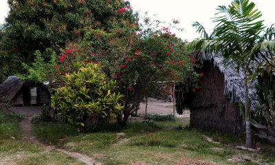 Village at Port Resolution, Tanna