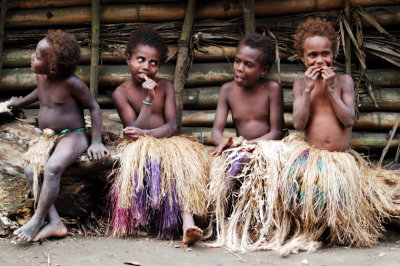 Vanuatu: Tanna, Eromango, Efate, Malekula (2009)