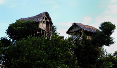 Treehouses of Yakel, Eastern Tanna