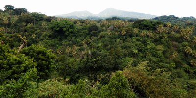 View from a treehouse - Yakel, Eastern Tanna