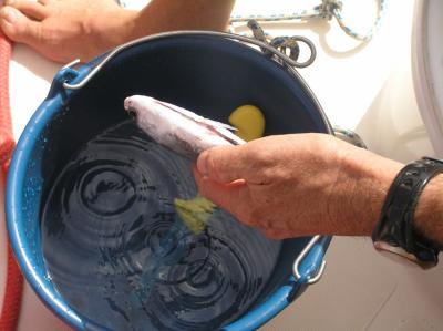 Making the Flying Fish Soup