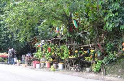 Fruit Stand, near Port Antonio, Jamaica