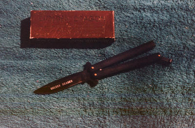 g3/95/485295/3/57684583.Taylor8_PS.jpg