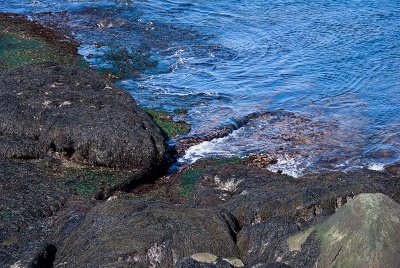 Sohier Park near Nubble Light