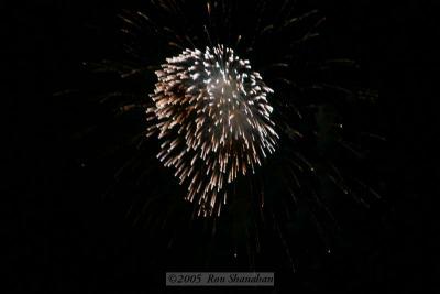 IMG_2905_20D.jpg